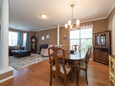 Living & Dining Areas