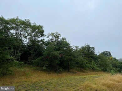 0 Upland Trail unit WVMO2002074, Berkeley Springs, WV 25411 - photo 3