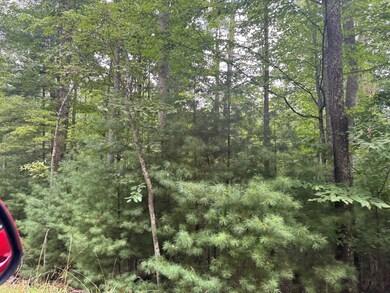 0 Cave Ridge Rd, Hinton, WV 25951 - photo 6