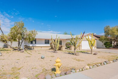 3-web-or-mls-Willow-3