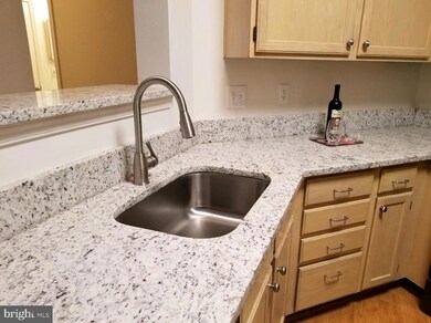 14314 Climbing Rose Way unit 102, Centreville, VA 20121 - photo 4