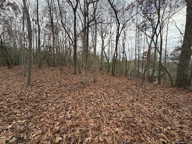 454R Joliet Dr, Ellijay, GA 30540 - photo 3