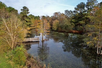 2900 Massee Post Rd, Adel, GA 31620 - photo 4