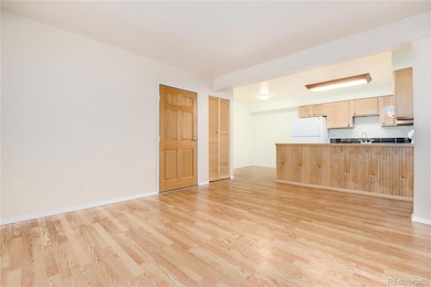 Living Room / Kitchen