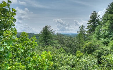 Additional View