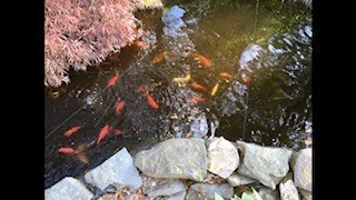 17 Riverview Ave, Smithfield, RI 02917 - photo 2