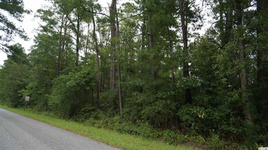 450 Boggy Rd, Conway, SC 29526 - photo 6