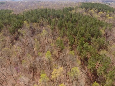 0 Mathis Cemetery Rd unit 2170373, Stewart, TN 37175 - photo 4