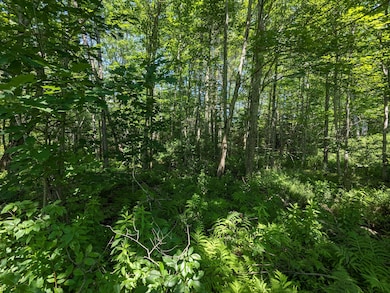 PXL_20240625_180741163