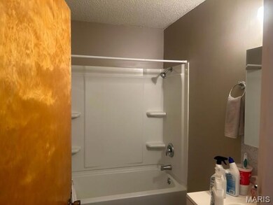 301 E Chestnut St, Desloge, MO 63601 - photo 7