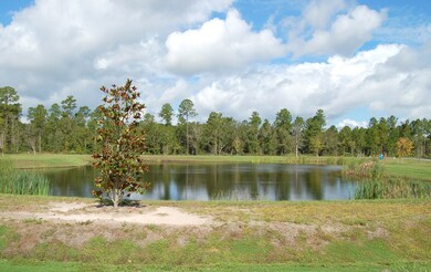 294 Honey Branch Ln, St. Augustine, FL 32092 - photo 6