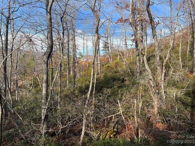 00 Dobsons Knob Loop Rd unit 32, Marion, NC 28752 - photo 5