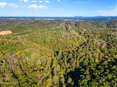 5-web-or-mls-DJI_0187