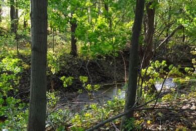 creek 2