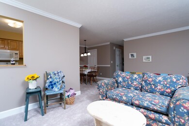 95 Velina Dr, Albany, NY 12203 - photo 4