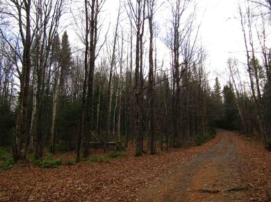 31-1 Moose Trail, Clarksville, NH 03592 - photo 7