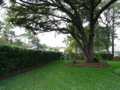 Private yard with beautiful old oaks