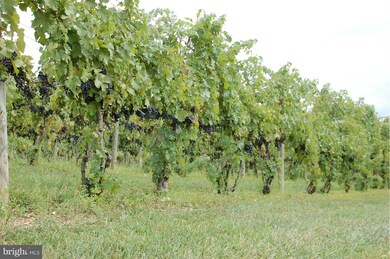 1116 E Deep Run Rd, Westminster, MD 21158 - photo 5