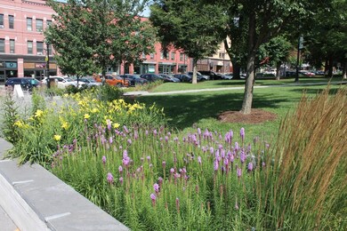 Vermont House Condos unit 509, Burlington, VT 05401 - photo 4