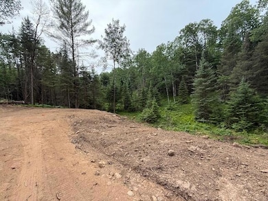 Pcl 41 PRT NW Sw -, Plum Lake, WI 54512 - photo 3