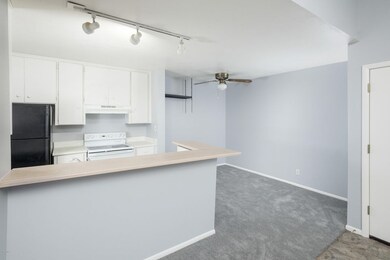 JR_0503_web