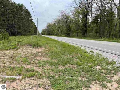 0 Esmond Rd unit 1890514, Hale, MI 48739 - photo 2