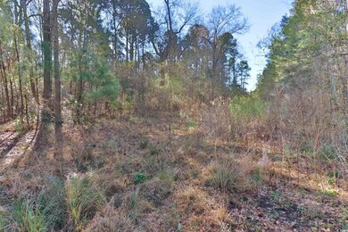 4231 Roscoe Rd, Myrtle Beach, SC 29588 - photo 5