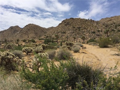 7878 Rockwood Rd, Joshua Tree, CA 92252 - photo 4
