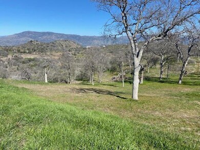 0 Apn 190-160-05s unit 235517, Squaw Valley, CA 93675 - photo 4