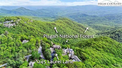 1245 Laurel Ln, Blowing Rock, NC 28605 - photo 4