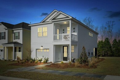 Luca Lowcountry night