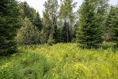13 Acres Whitetail Ln, Tipler, WI 54542 - photo 7