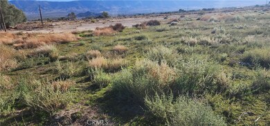0 Rabbit Springs Rd unit RS25232464, Lucerne Valley, CA 92356 - photo 3