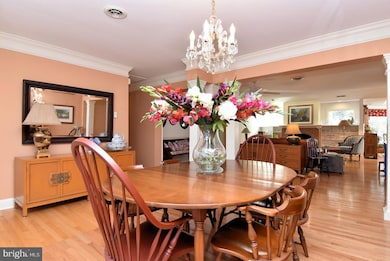 205 Loganberry Ln, Rehoboth Beach, DE 19971 - photo 3