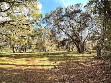 000 State Rd, Hawthorne, FL - photo 3