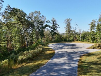 Lot 54 High River Landing, Ellijay, GA 30540 - photo 4