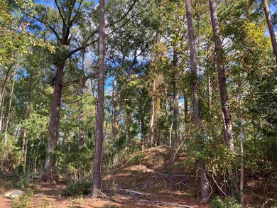 13.39 Acres Harbor Aly, Myrtle Beach, SC 29577 - photo 5