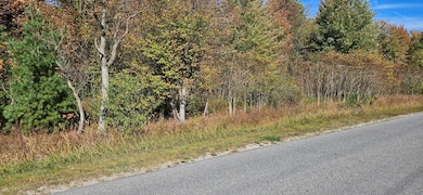 1100 E Bard Rd, Muskegon, MI 49445 - photo 4