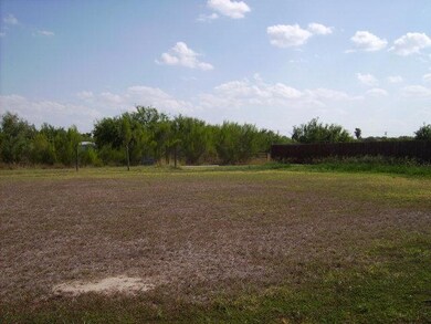 2807 Cypress Dr, Donna, TX 78537 - photo 5