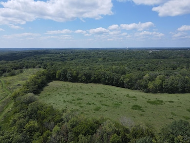 DJI_0781