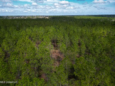 DJI_0891-2