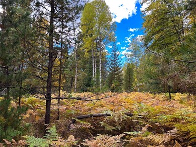 Nhn Klister Ln, Trout Creek, MT 59874 - photo 7