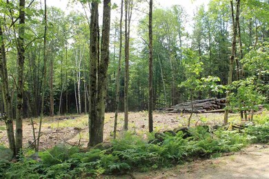 00 Mountain View Rd unit 8, Campton, NH 03223 - photo 4