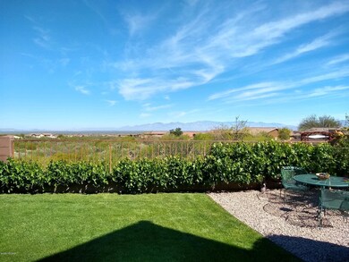 Grape Vines and Views!