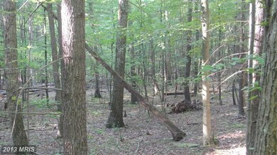 0 Calypso Trail unit 1003640048, Great Cacapon, WV 25422 - photo 2