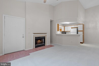 11739 Summerchase Cir unit 1739-B, Reston, VA 20194 - photo 4