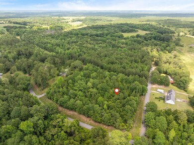 1.5 acres J Barnes Rd, Purvis, MS 39475 - photo 4