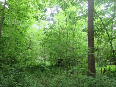 VL Calhoun & State Line Rd, Conneaut, OH 44030 - photo 5