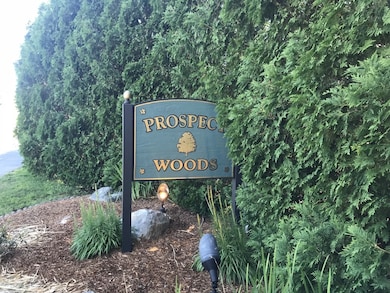 63 Hatfield St unit 4, Northampton, MA 01060 - photo 2