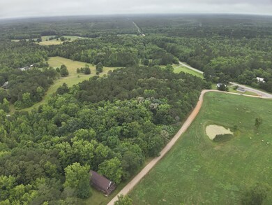 38 Bridges Rd, Carlton, GA 30627 - photo 2